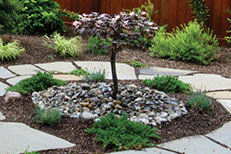 Bubbling Rock Fountain